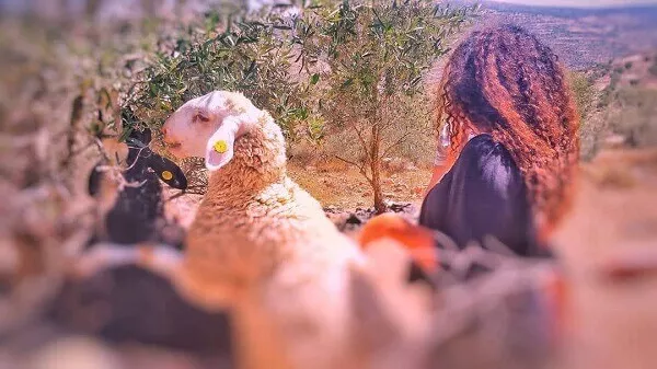 סדנת מנהיגות לבני נוער